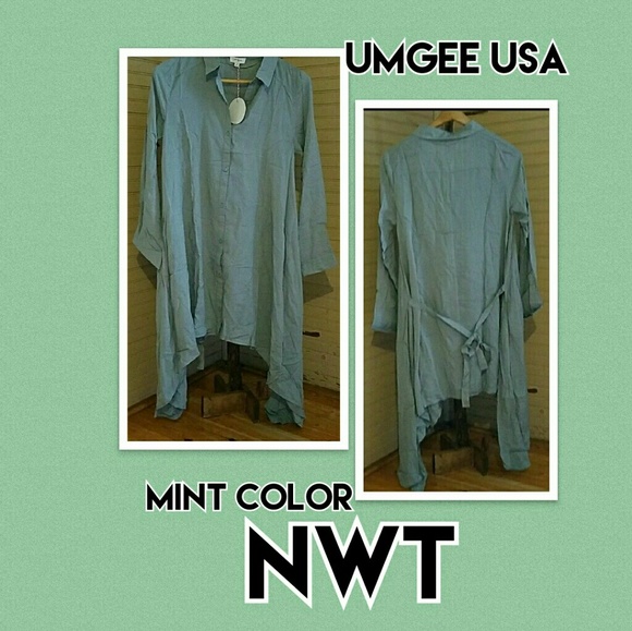 Umgee Dresses & Skirts - Umgee Mint button down shirt dress/tunic